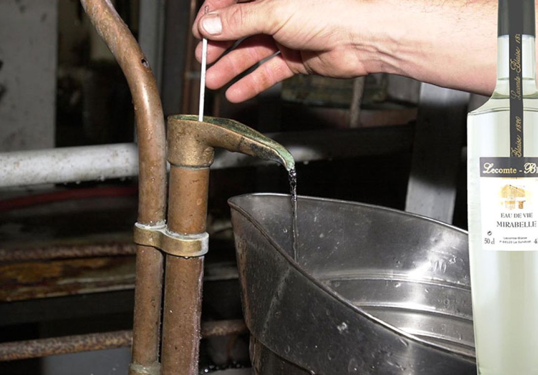 eau-de-vie alambic en cuivre distillation mirabelle
