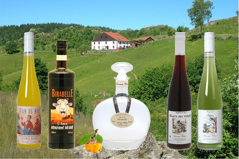 Mirabelle Plum spirits liqueurs brandies