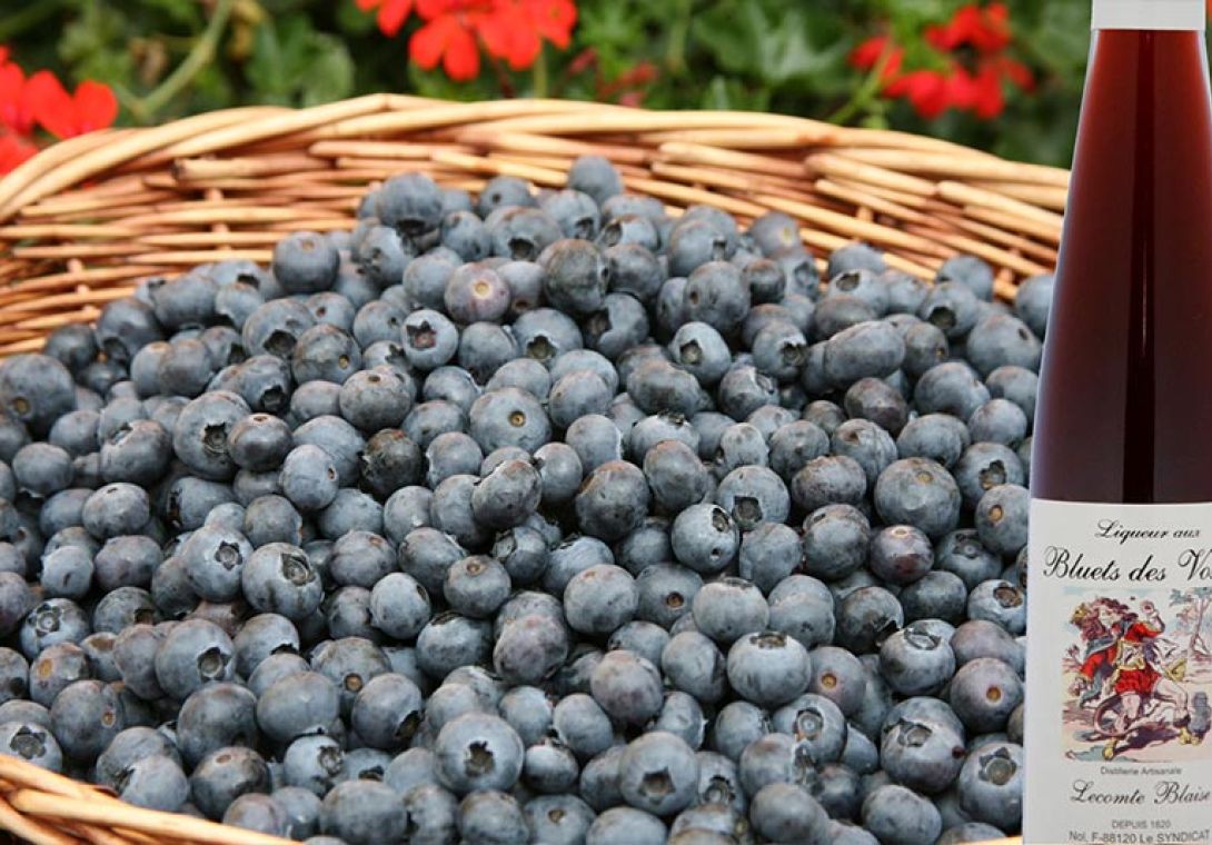 traditional liquors cream-based liquors